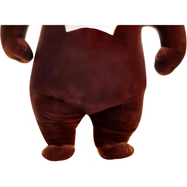 48cm