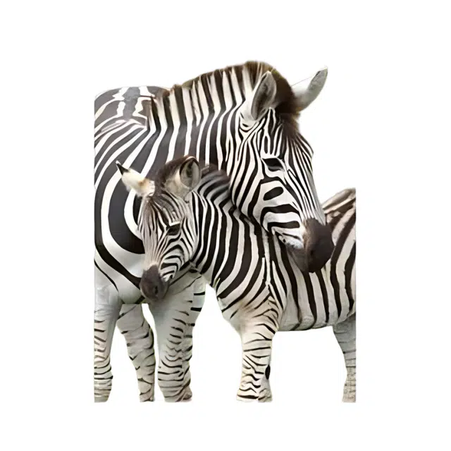 Ravensburger 300pcs 129485