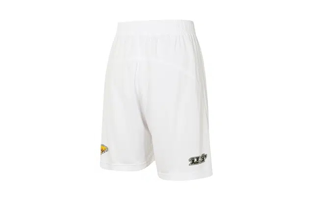 LiNing SW 21
