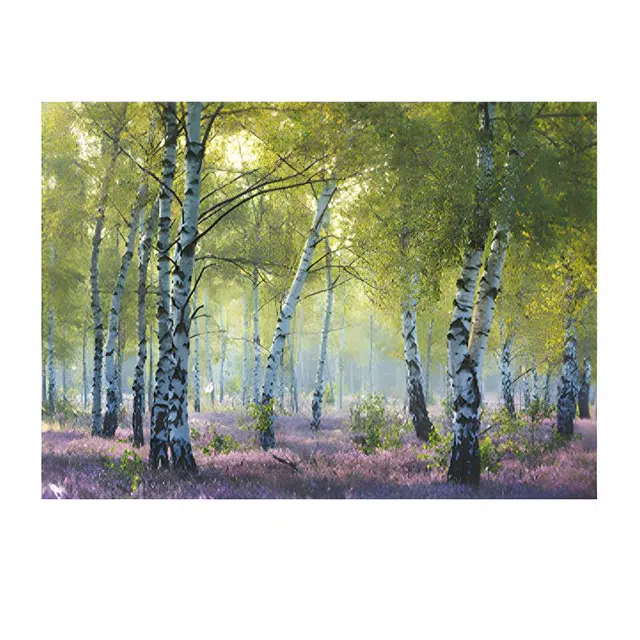 Ravensburger 1000pcs 16753