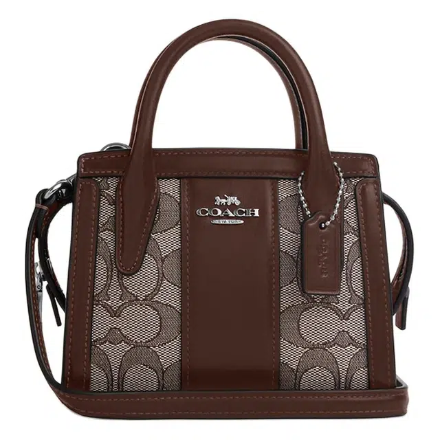 COACH Carryall 15