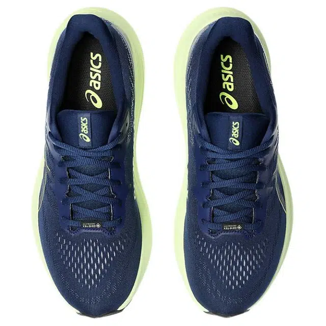 Asics GT-2000 12 GTX