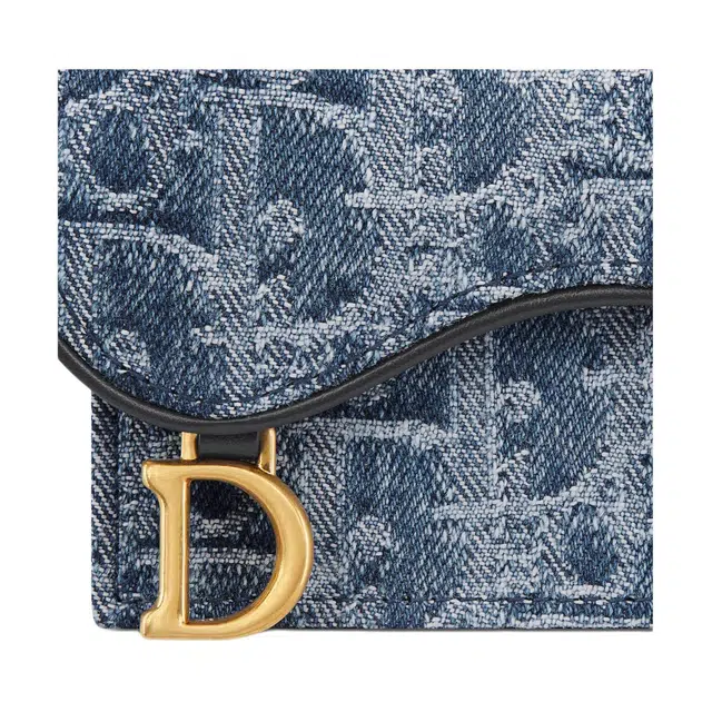DIOR SaddleOBLIQUE D