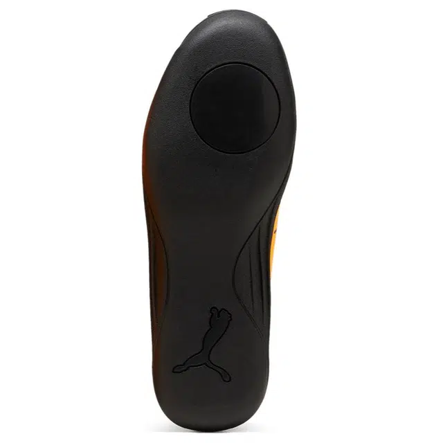PUMA evoSPEED Throw 10.5