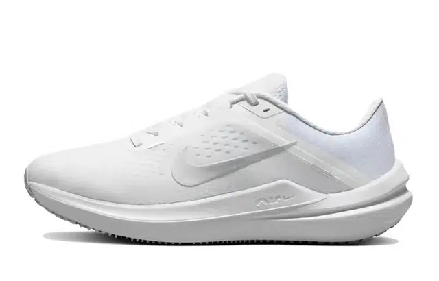 Nike Air Winflo 10 811