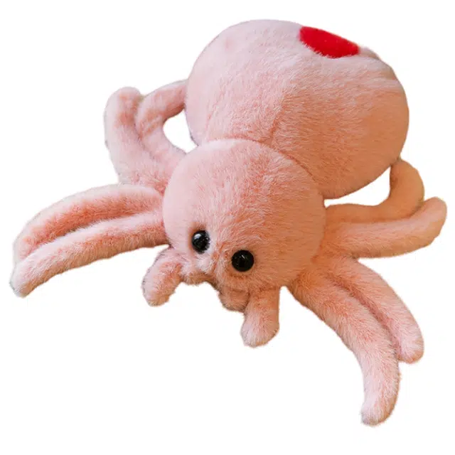 25cm