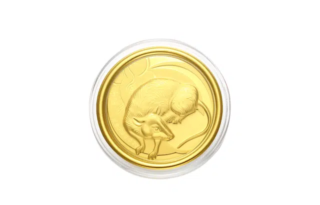 CHINA GOLD 3D