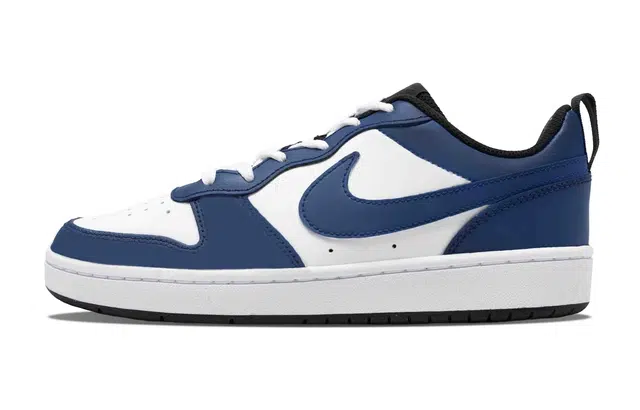 Nike Court Borough Low 2