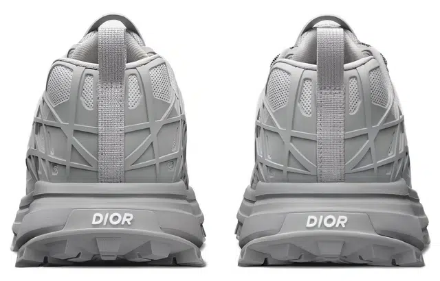 DIOR B31