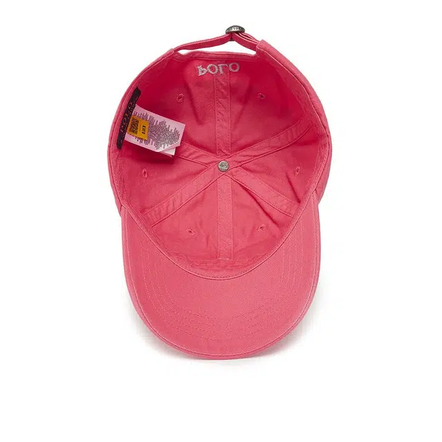 Polo Ralph Lauren Logo