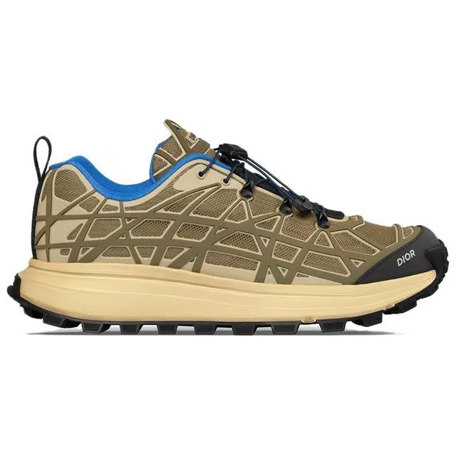 DIOR B31
