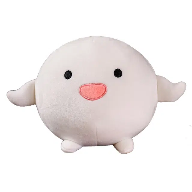 10cm22cm