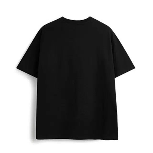 CHARM PICK T