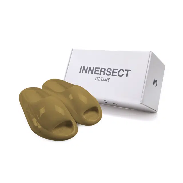 INNERSECT THE CLOUD SLIPPER