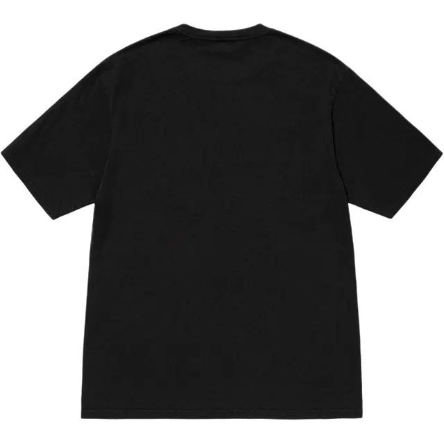 Stussy SS24 BEACH ROOTS TEE PIGMENT DYED logoT