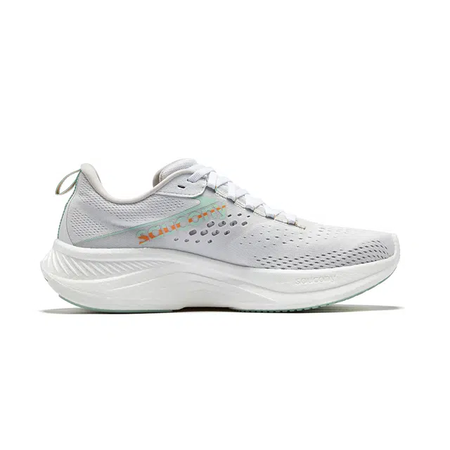 Saucony RIDE 17