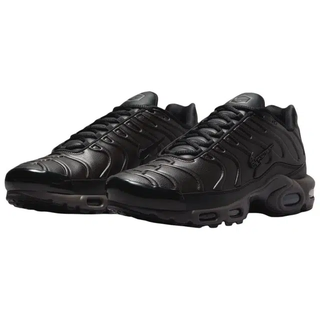 Nike Air Max Plus BLACK TEA