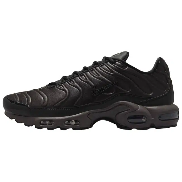 Nike Air Max Plus BLACK TEA