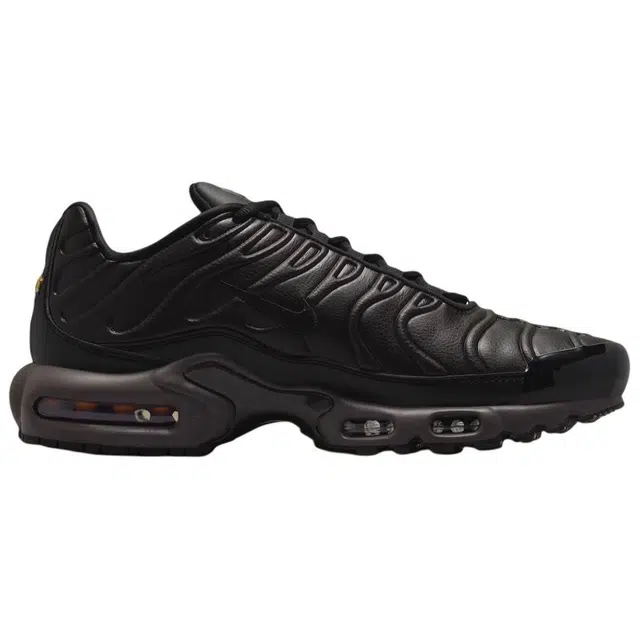 Nike Air Max Plus BLACK TEA