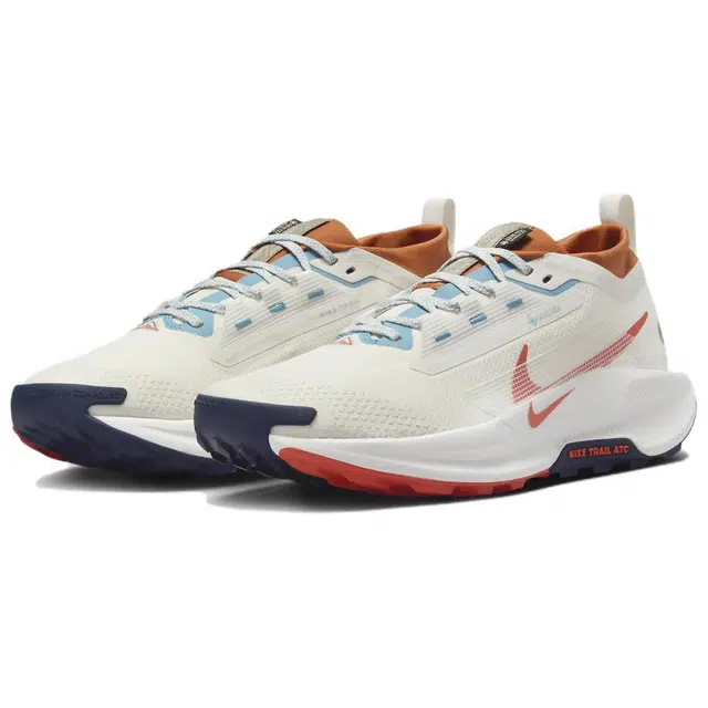 Nike Pegasus Trail 5 GORE-TEX