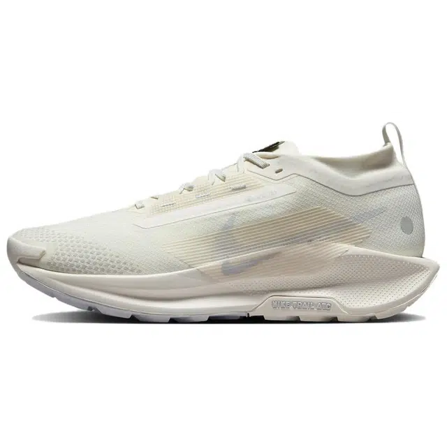 Nike Pegasus Trail 5