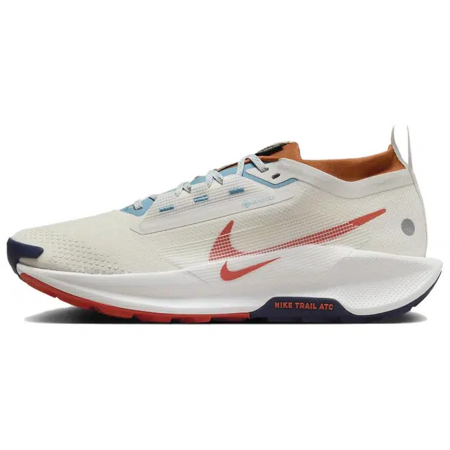 Nike Pegasus Trail 5 GORE-TEX