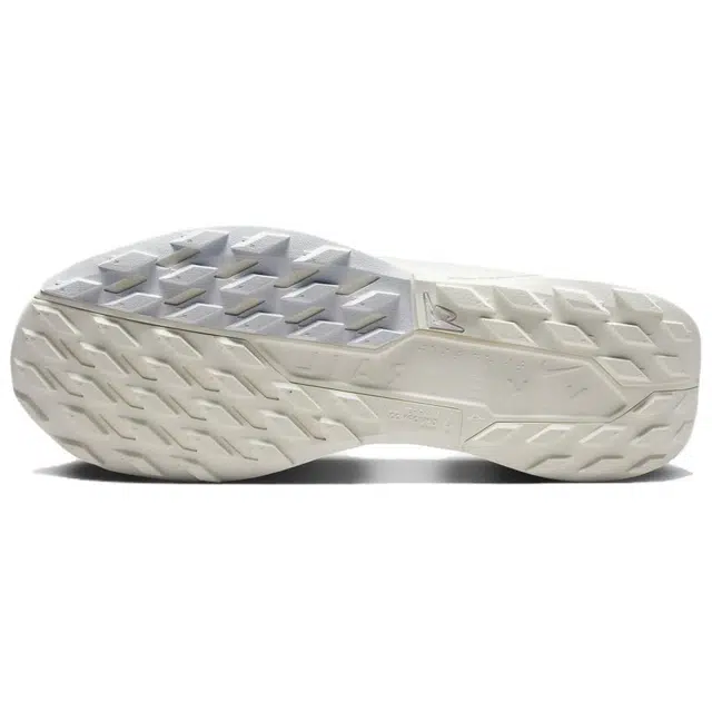 Nike Pegasus Trail 5