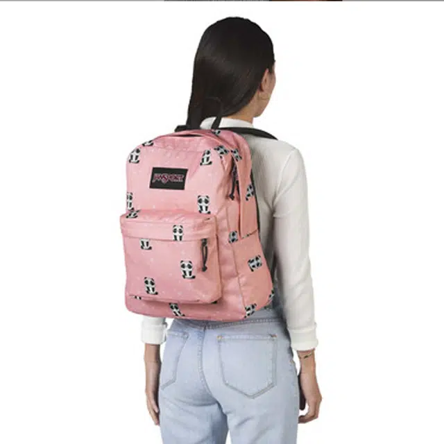JanSport ins TWK8