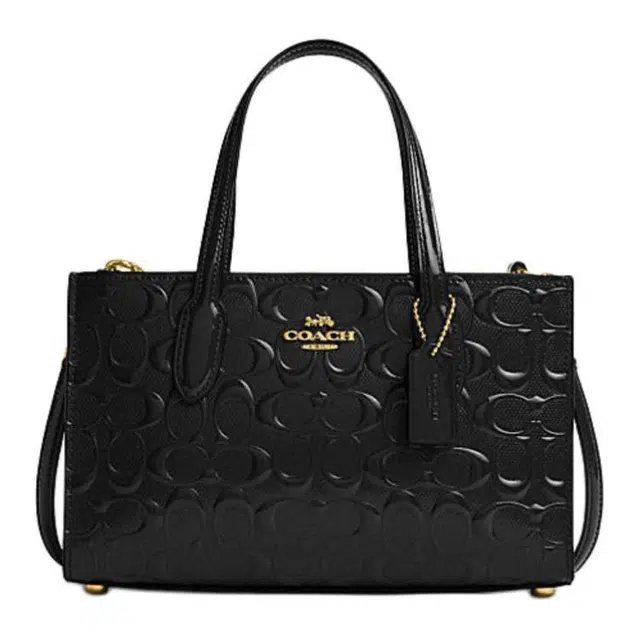 COACH Nina 25 Tote