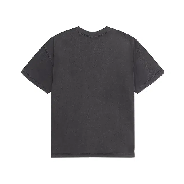 Revenge T