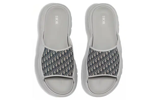 DIOR H-Town Oblique