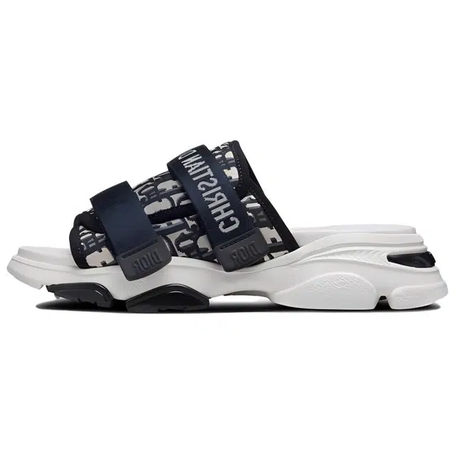 DIOR D-Wander