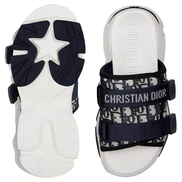 DIOR D-Wander