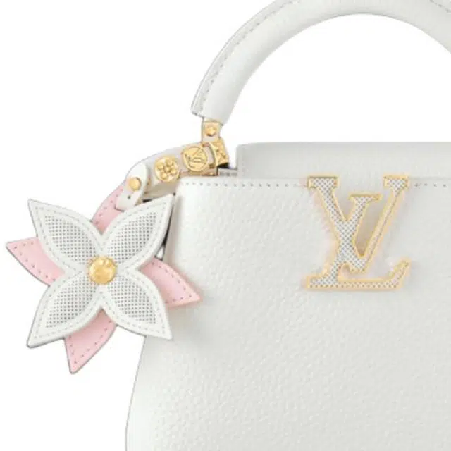 LOUIS VUITTON Capucines Logo Taurillon