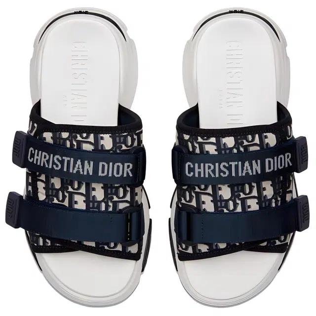 DIOR D-Wander