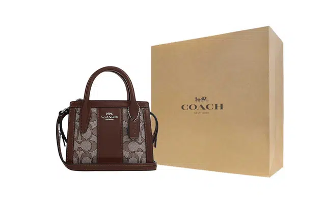 COACH Carryall 15