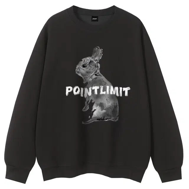 POINTLIMIT FW24 Logo