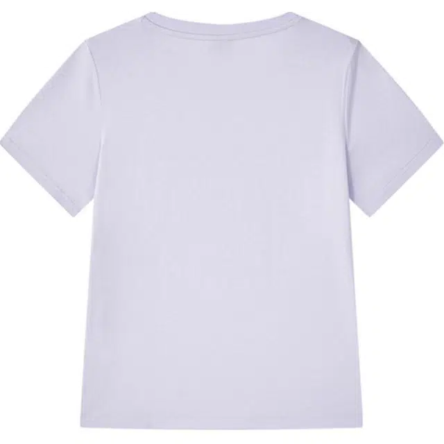 PONY T