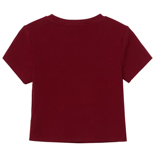 WESTLINK T