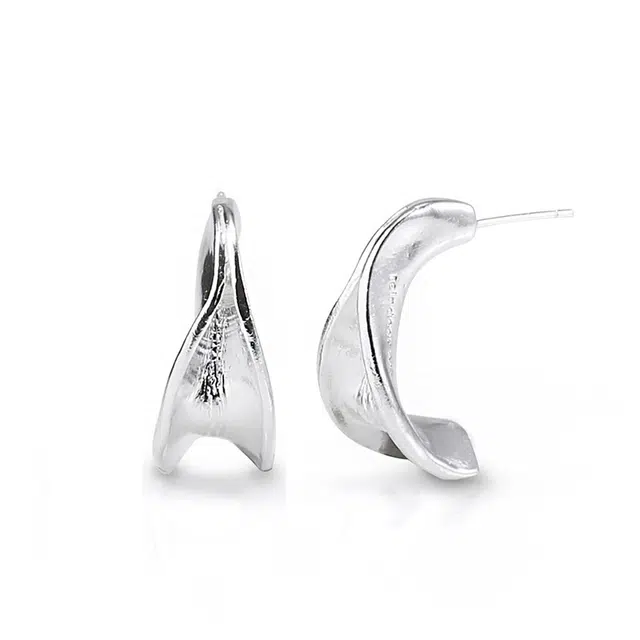 ROGA ins 925