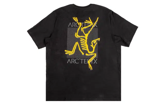 Arcteryx T