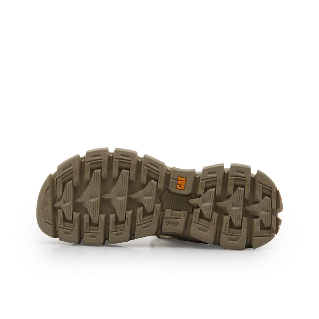 CAT Progressor Web Bold