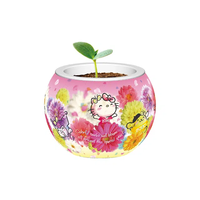 3D-JP 80HelloKitty K1059