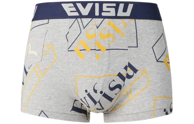 EVISU 2