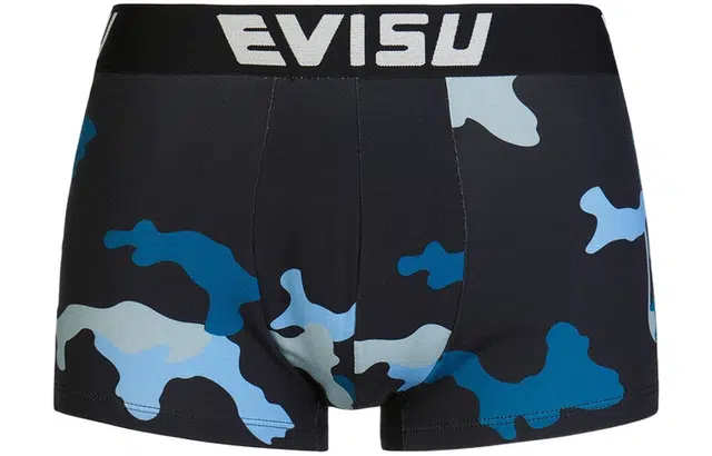 EVISU 2