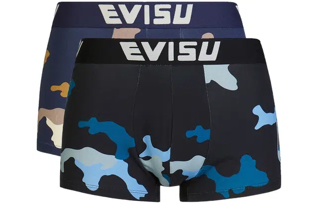 EVISU 2