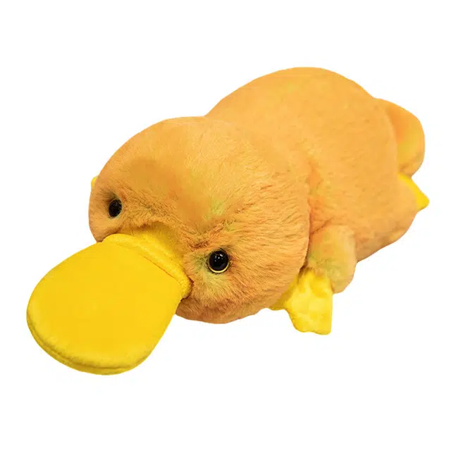 45cm