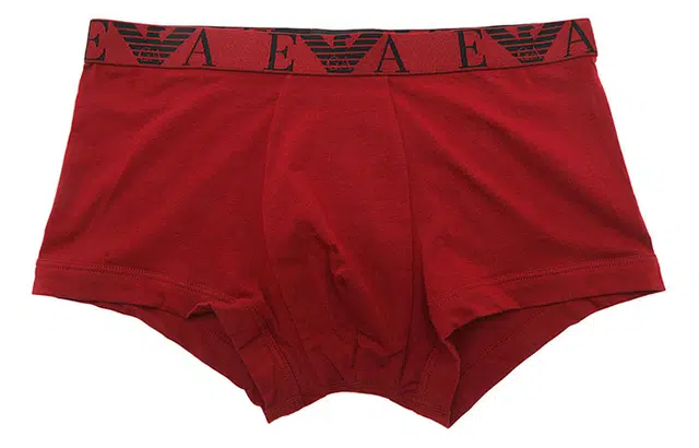 EMPORIO ARMANI FW22 3 520