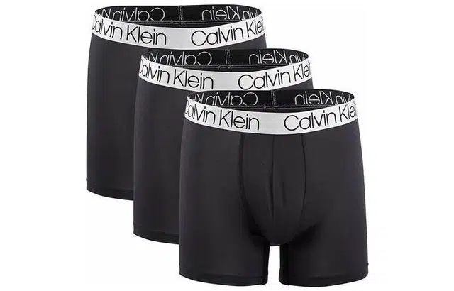 CKCalvin Klein Logo 3