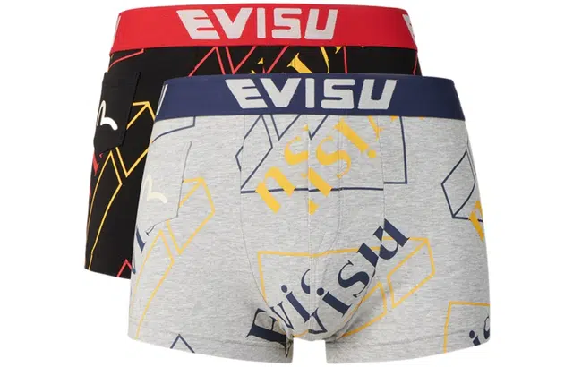 EVISU 2